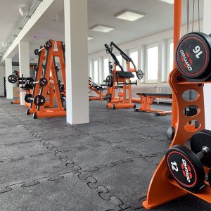 Puzzle 3D Gymallrounder Light